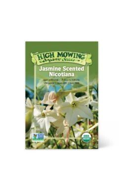 Jasmine-Scented Nicotiana Organic Seeds