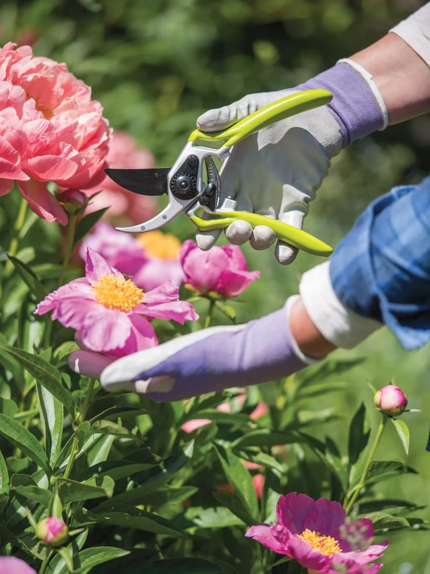 Gardener's Pro Pruner #2 - Image 3