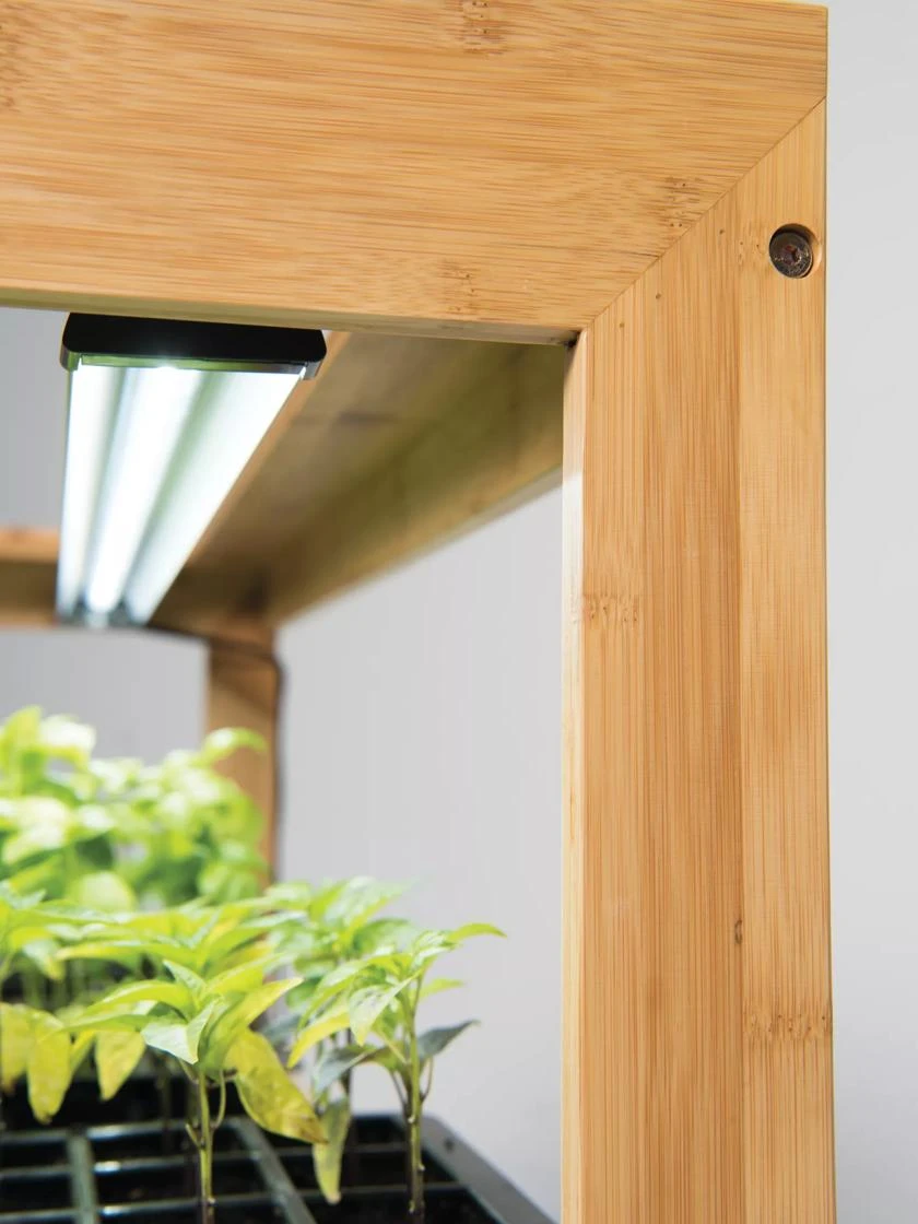 Bamboo Display LED Grow Light Garden - Image 5