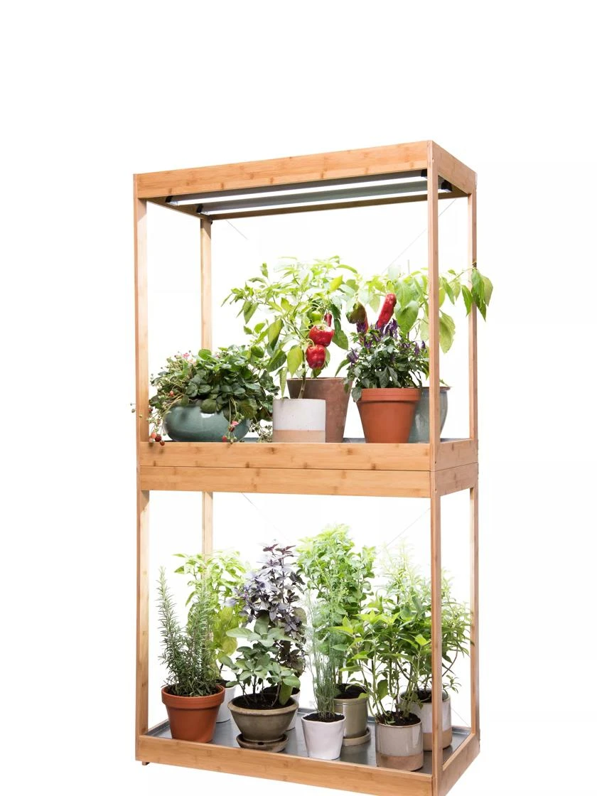 Bamboo Display LED Grow Light Garden - Image 7