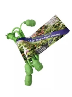 Miracle LED 4-Socket String Light