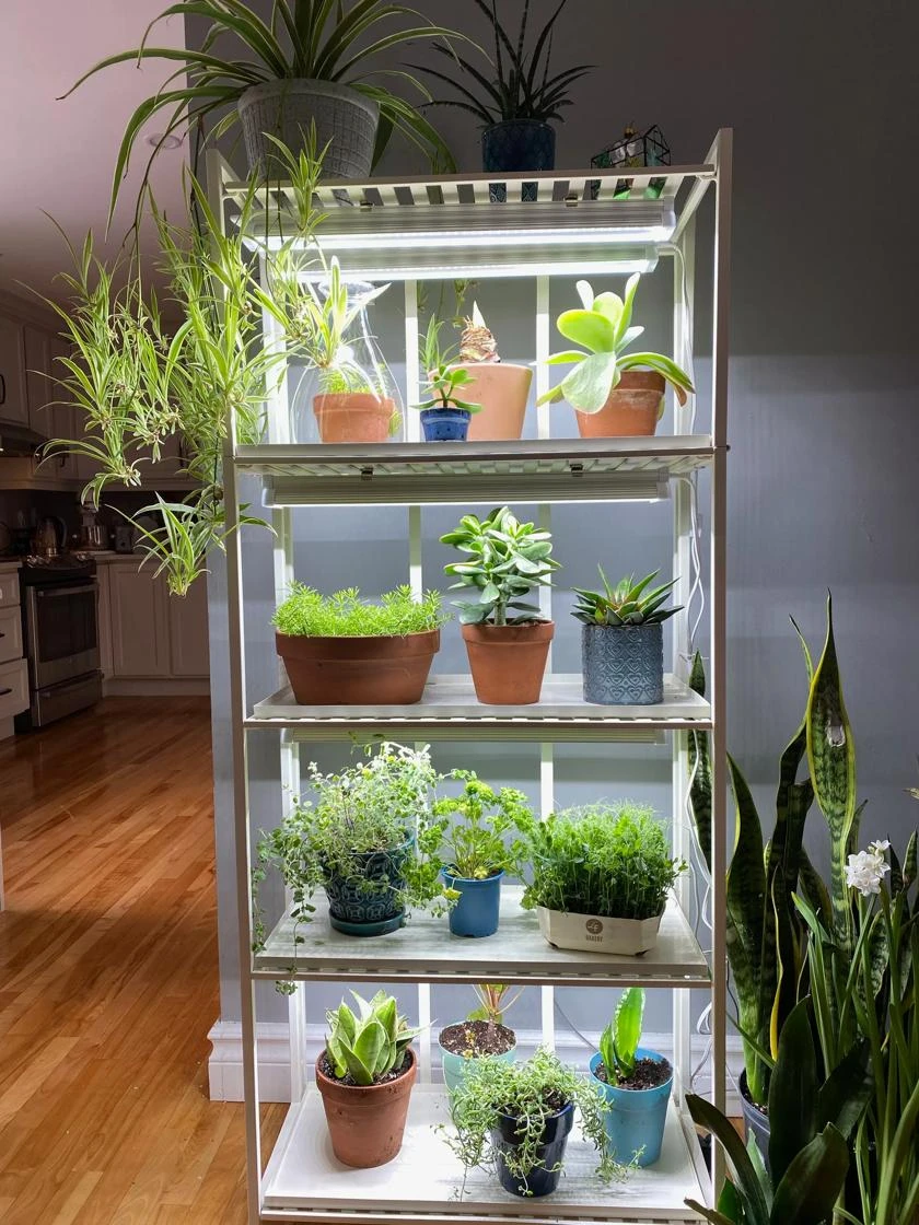 Oslo 4-Tier LED Grow Light Garden - Image 10