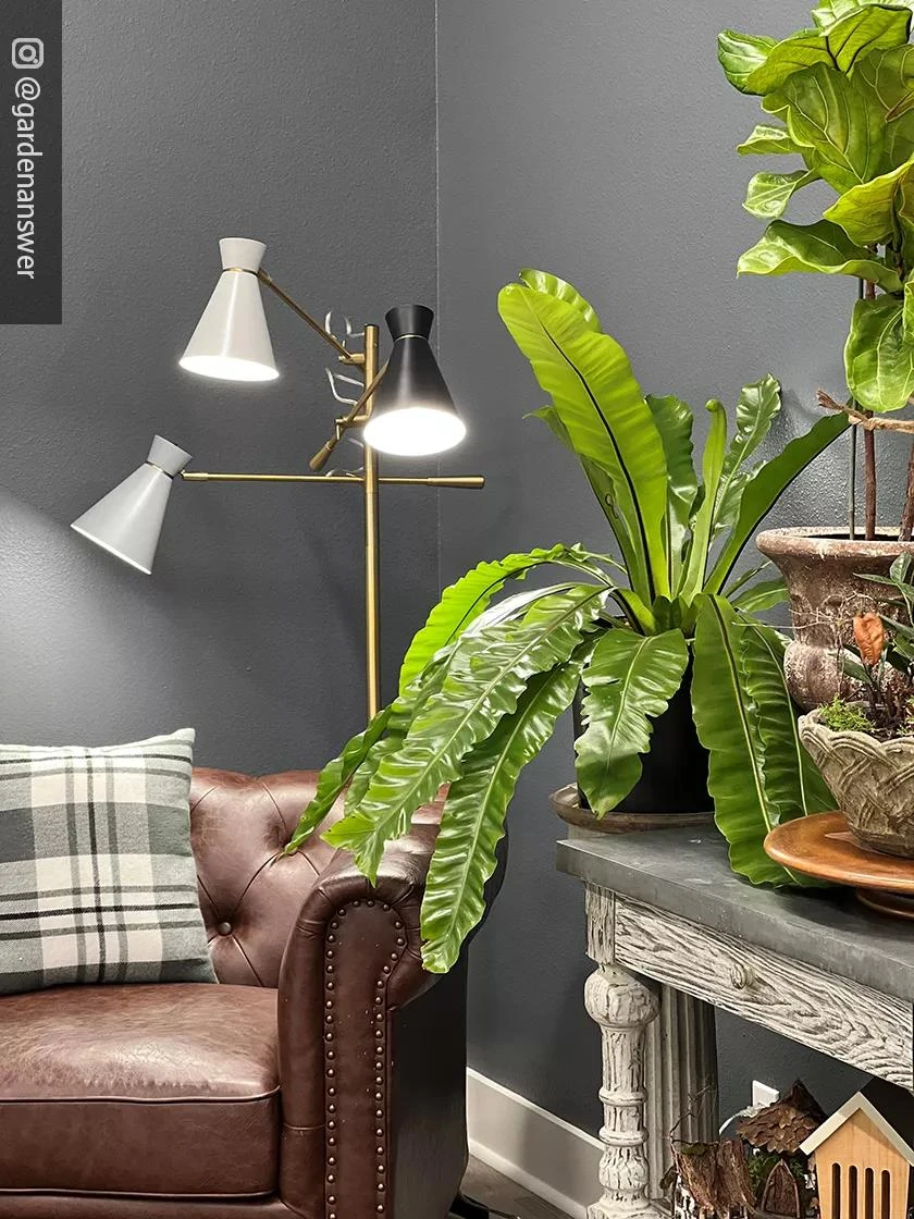 Adjustable 3-Arm Grow Lamp - Image 6