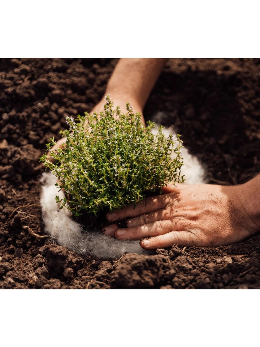 Hortiwool ®, 5 Pad Pack - Image 3